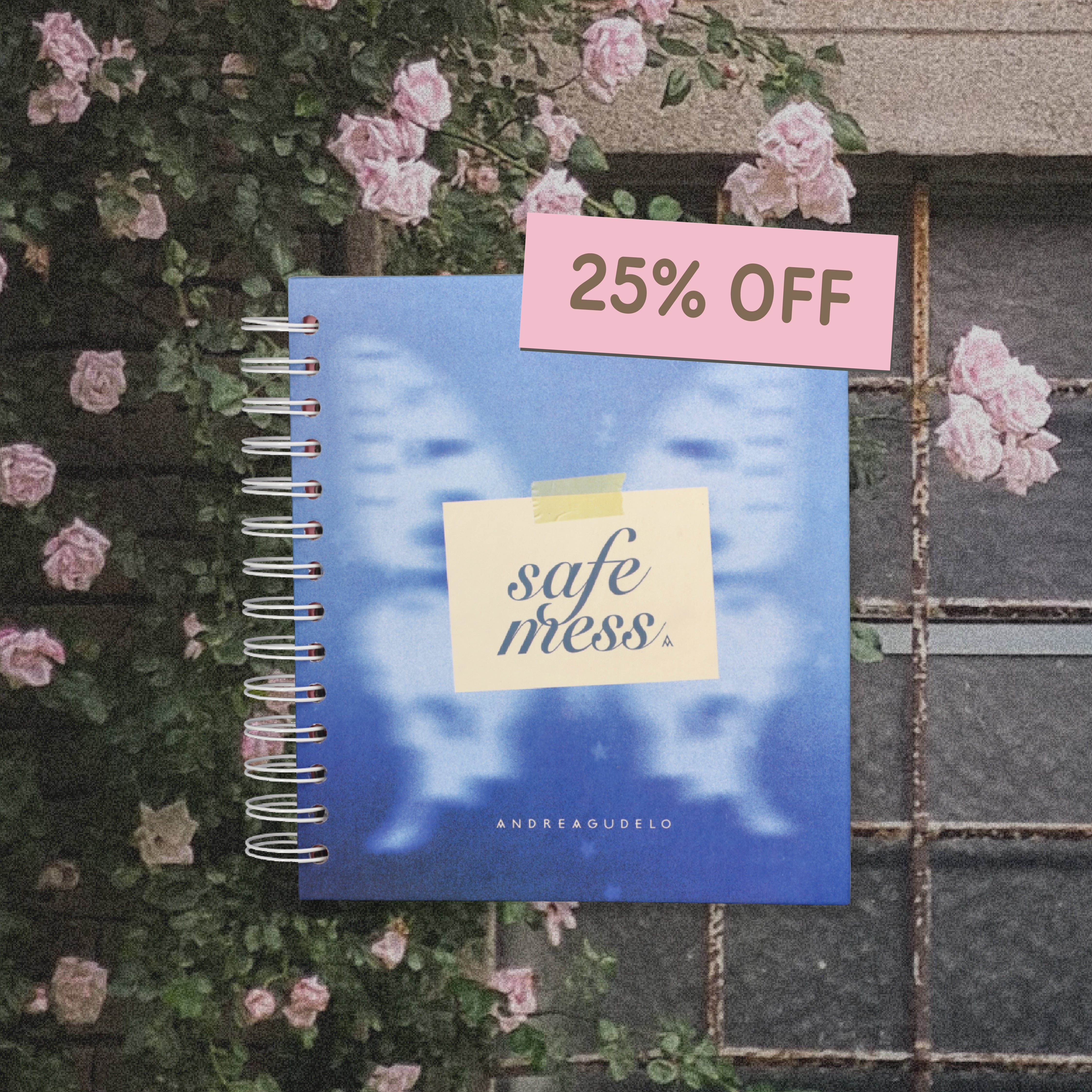 AGENDA SAFE MESS